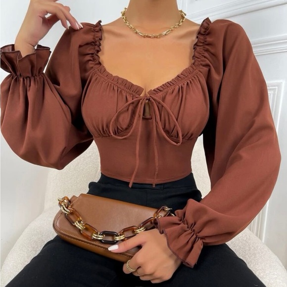 Brown Blouse - Picture 1 of 5